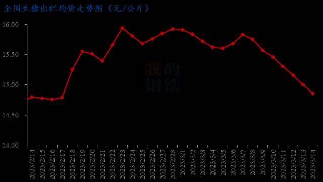 Mysteel解读：猪肉股大涨期货反弹 猪市的东风来了吗<strong></p>
<p>期货开盘价</strong>？
