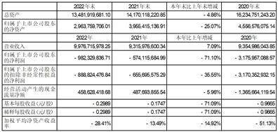金正大生态工程集团股份有限公司2022年度报告摘要
