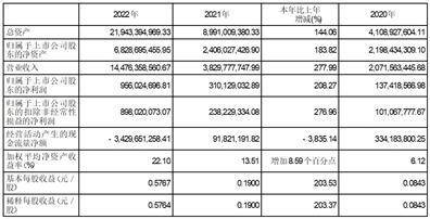 双良节能系统股份有限公司2022年度报告摘要