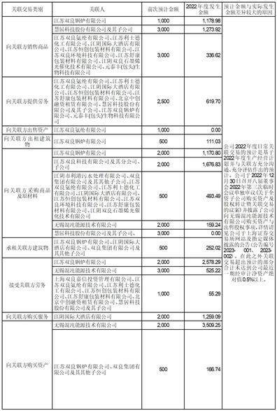 双良节能系统股份有限公司2022年度报告摘要