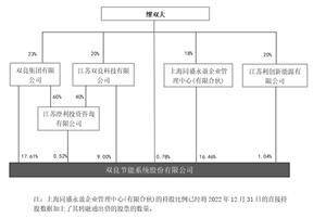 双良节能系统股份有限公司2022年度报告摘要