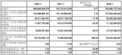国泰君安证券股份有限公司2022年度报告摘要