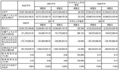 国轩高科股份有限公司2022年度报告摘要