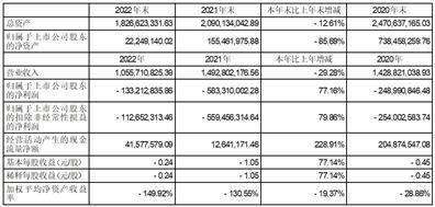 顾地科技股份有限公司2022年度报告摘要