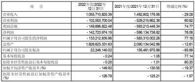 顾地科技股份有限公司2022年度报告摘要