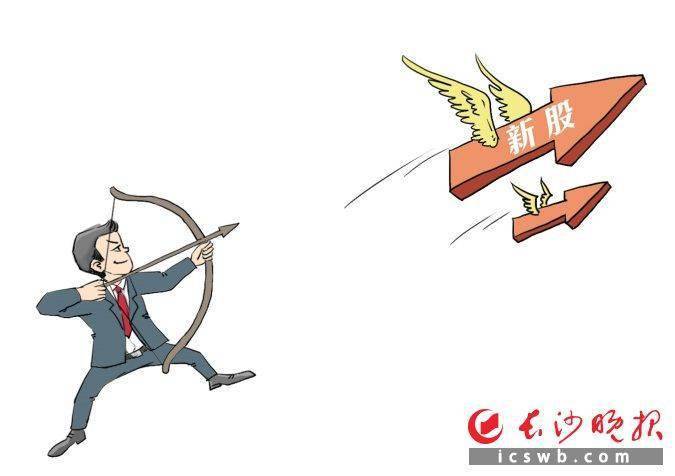 11只新股下周申购<strong></p>
<p>中国证券业协会网</strong>，打新请注意新规（点金）