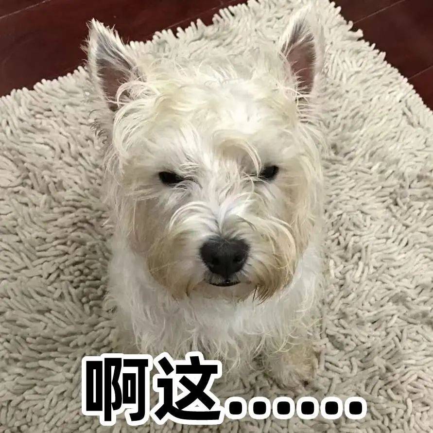 买房人“跳单”<strong></p>
<p>哪家证券公司佣金低</strong>，判了！