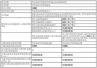 关于华安众盈中短债债券型发起式 证券投资基金暂停大额申购、大额转换转入及大额定期定额投资的公告