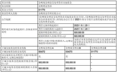 金鹰基金管理有限公司关于金鹰鑫日享债券型证券投资基金暂停机构客户大额申购（含转换转入、定期定额投资）的 公告