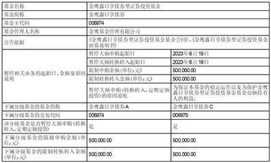 金鹰基金管理有限公司关于金鹰鑫日享债券型证券投资基金暂停机构客户大额申购（含转换转入、定期定额投资）的 公告