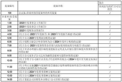 证券代码：002859 证券简称：洁美科技 公告编号：2024-032 债券代码：128137 债券简称：洁美转债