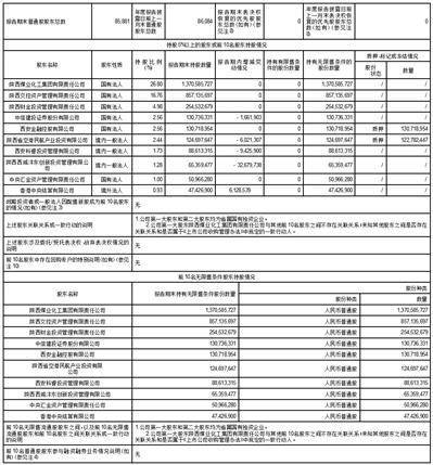 证券代码：000563 证券简称：陕国投Ａ 公告编号：2024-10