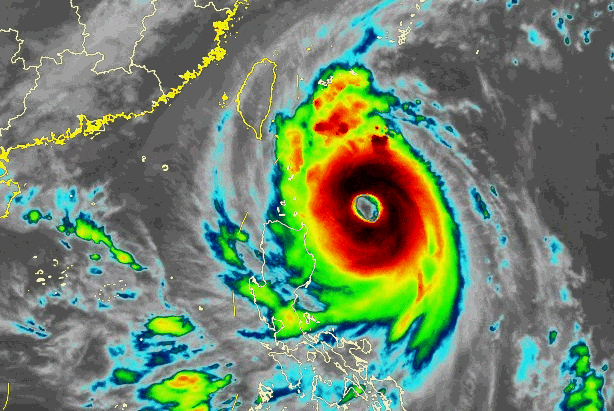 上海明后天将有大暴雨<strong></p>
<p>证券书</strong>，或为1981年以来11月最大降雨