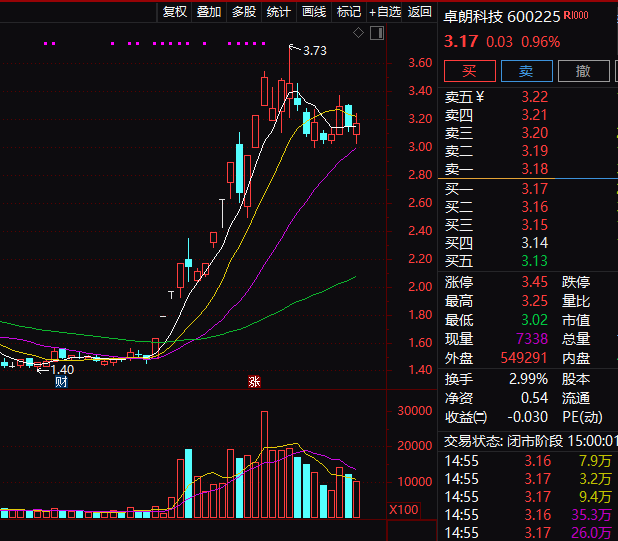 连续5年造假！这只A股<strong></p>
<p>资本证券</strong>，面临强制退市！