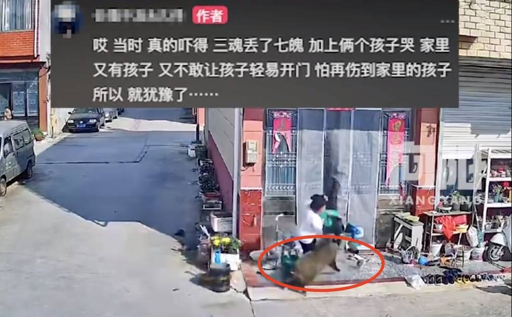 不是上海<strong></p>
<p>江海证券</strong>！不是上海！不是上海！最新：已被特警击毙