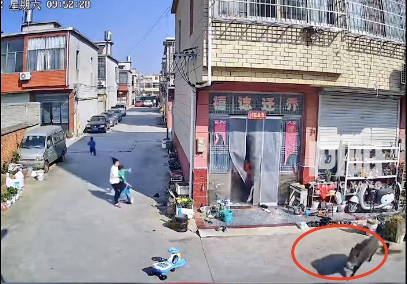不是上海<strong></p>
<p>江海证券</strong>！不是上海！不是上海！最新：已被特警击毙