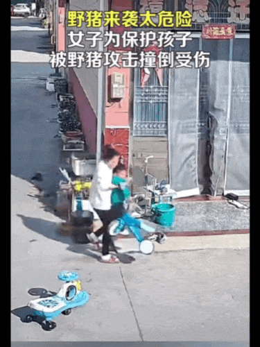 不是上海<strong></p>
<p>江海证券</strong>！不是上海！不是上海！最新：已被特警击毙