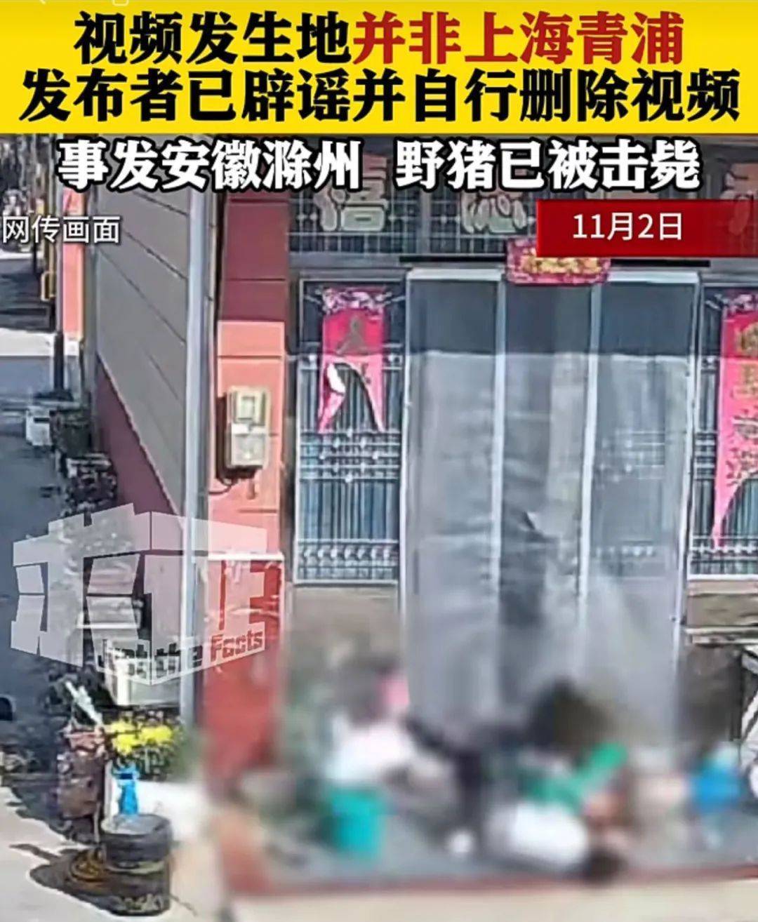 不是上海<strong></p>
<p>江海证券</strong>！不是上海！不是上海！最新：已被特警击毙