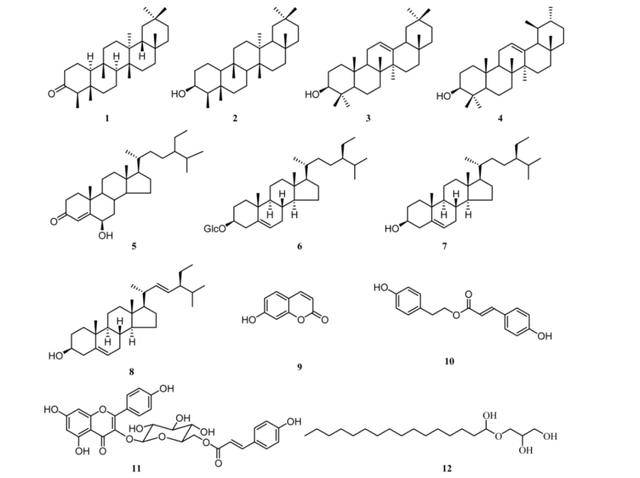 让百雀羚陷入风波的“禁用原料”<strong></p>
<p>证券组合</strong>，到底是什么？