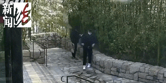 太猖狂！事发上海迪士尼<strong></p>
<p>证券监管</strong>，7人被刑拘