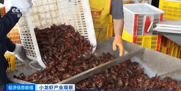 价格暴跌近50%<strong></p>
<p>华金证券</strong>！“接下来还会降”！青岛正大量上市……
