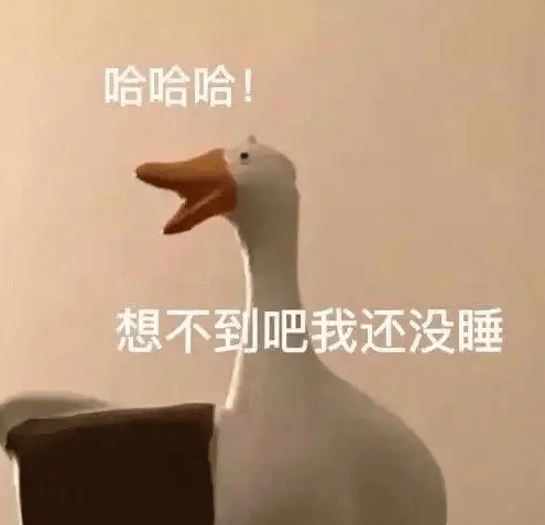 “一小时飞过8架”“感觉屋在抖”！深圳有小区遭遇<strong></p>
<p>货币证券</strong>，市民：睡不着