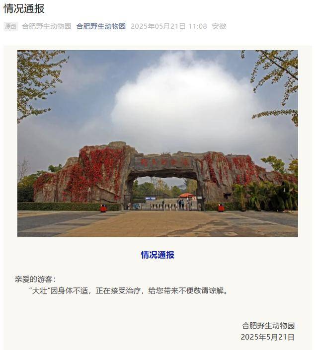网红猴“大壮”突然离世<strong></p>
<p>十大证券</strong>！曾因方脸“丑”出圈