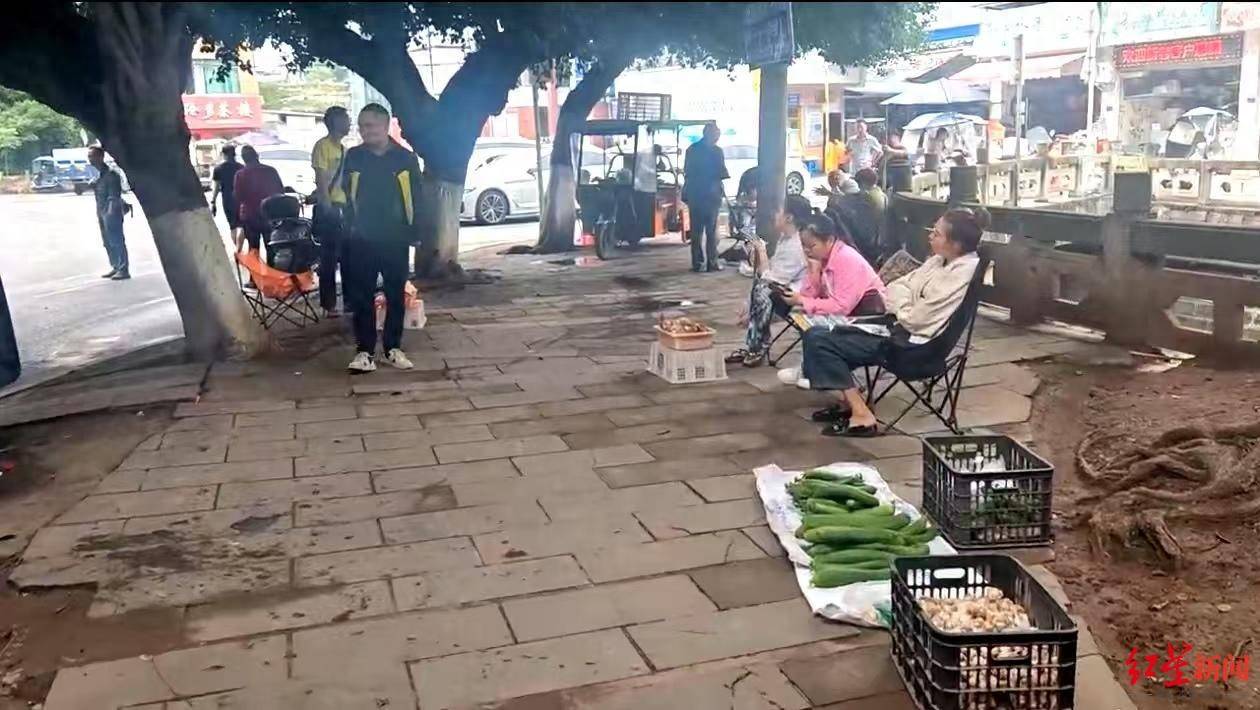 “天价”鸡枞调查：最贵卖到1800元/公斤！雨水少致产量低<strong></p>
<p>证券事务代表</strong>，多地价高客少