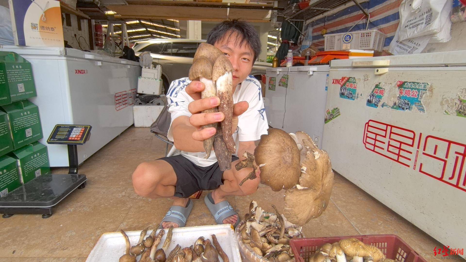 “天价”鸡枞调查：最贵卖到1800元/公斤！雨水少致产量低<strong></p>
<p>证券事务代表</strong>，多地价高客少