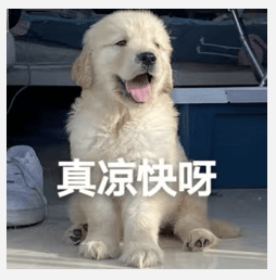 醒来“天塌了”<strong></p>
<p>证券事务代表</strong>！深圳一女子眼睛闭不上、嘴巴漏水！这些错误很多人会犯
