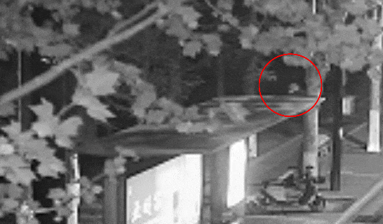 江苏一男子戴仿真“人皮”面具入室盗窃<strong></p>
<p>证券事务代表</strong>，流窜多个小区作案，涉案金额达15万余元