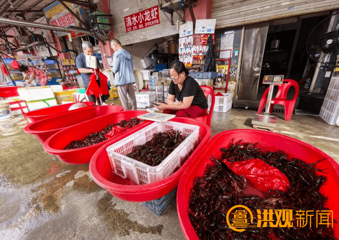 价格腰斩<strong></p>
<p>证券账户开户</strong>！13元/斤！南昌正大量上市