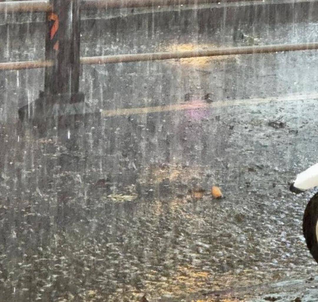 山东下<strong></p>
<p>手机证券开户</strong>了424个大明湖：多地出现暴雨