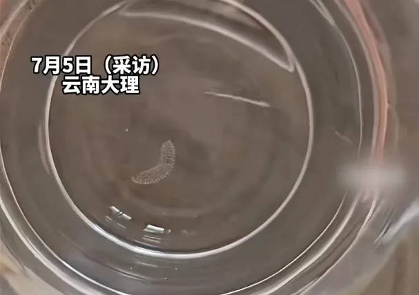 女子喝了隔夜水里的蚊子卵<strong></p>
<p>证券手机开户</strong>！专家：没事