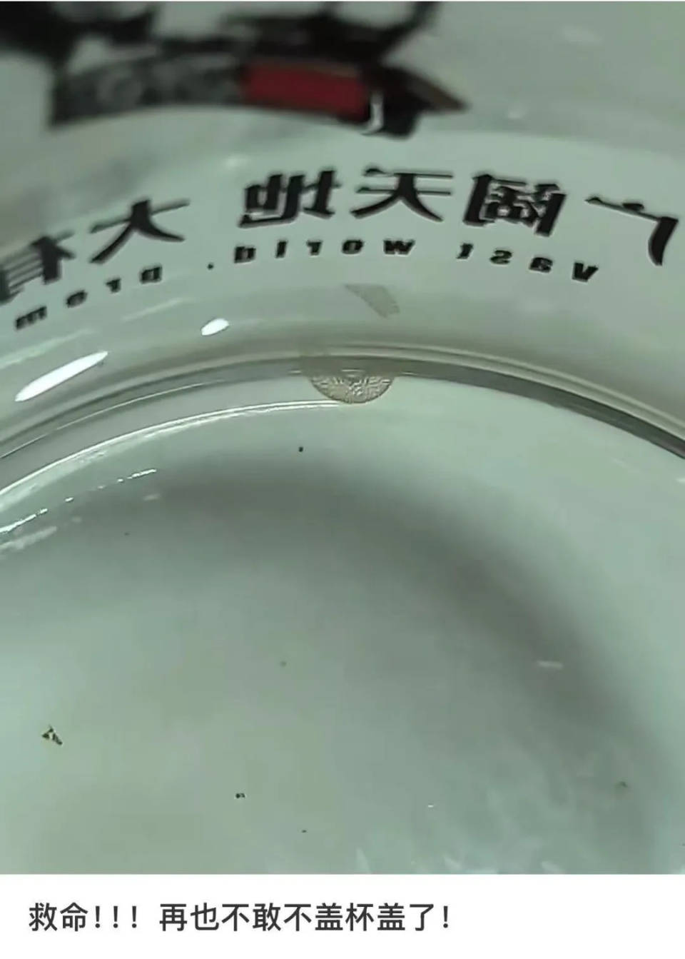女子喝了隔夜水里的蚊子卵<strong></p>
<p>证券手机开户</strong>！专家：没事