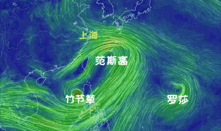 大风+大雨<strong></p>
<p>证券投资风险</strong>，上海今起受台风影响！一活动紧急取消！这几个区的雨更大