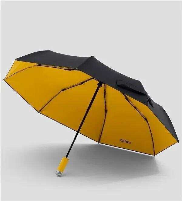 雷军发文：最近雨太多<strong></p>
<p>上市证券公司</strong>，我们为小米车主做了把伞，定价169元，今日开售