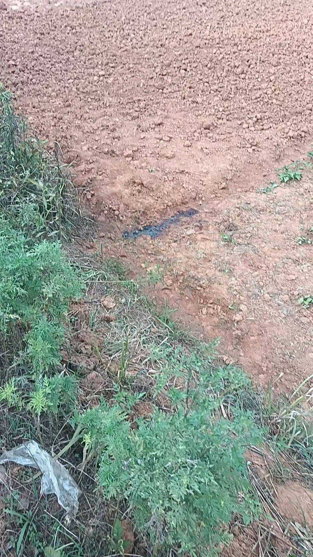 工人被误当猎物枪击身亡<strong></p>
<p>证券公司营业部</strong>，警方通报：屈某某、罗某某被刑拘
