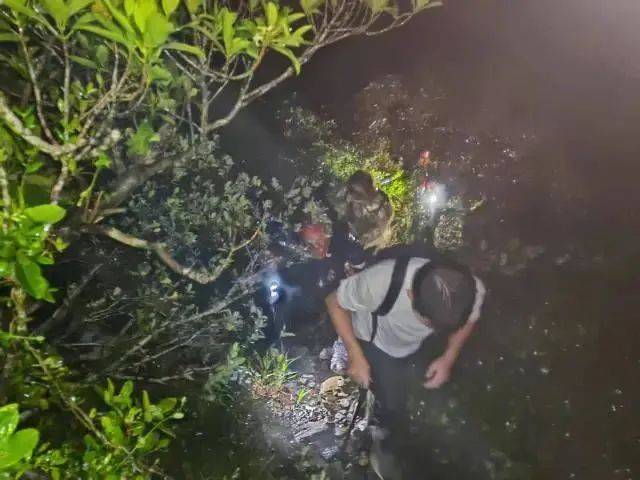 每人罚款5000元<strong></p>
<p>证券</strong>！深圳开出全国首张罚单