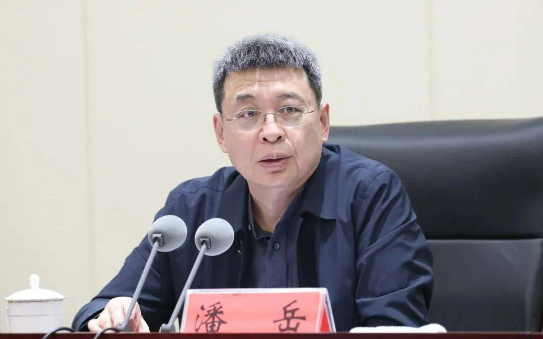 正部级潘岳<strong></p>
<p>600433股票</strong>，有新职