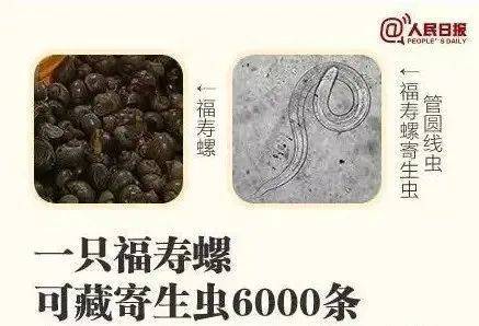 别吃！寄生虫多达6000条！浙江一地大量出现<strong></p>
<p>600433股票</strong>，看到立刻上报