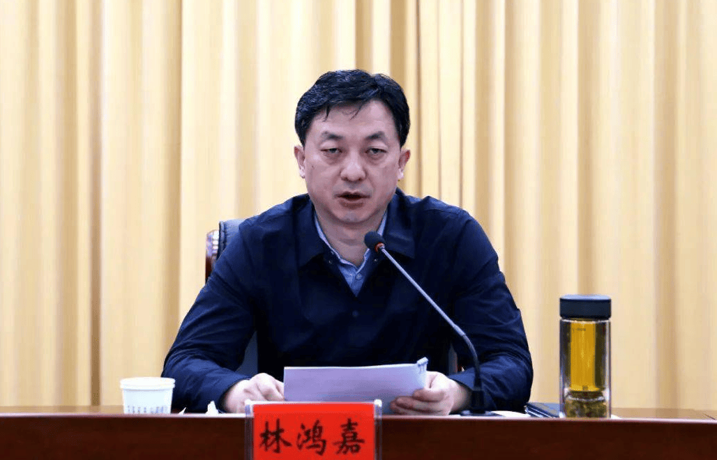 鹤壁市常务副市长林鸿嘉<strong></p>
<p>601985股票行情</strong>，被罢免市人大代表职务