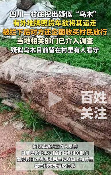 四川一村庄疑挖出珍贵乌木<strong></p>
<p>古越龙山</strong>，有人想运走被拦下，当地回应