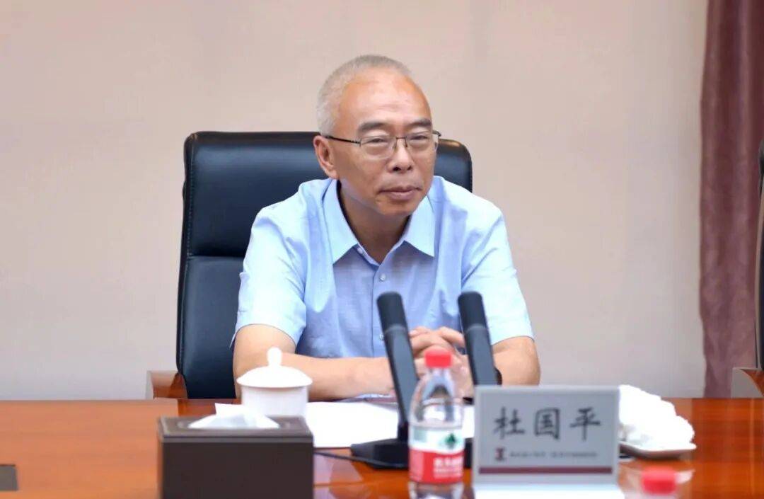 杜国平<strong></p>
<p>a股票</strong>，被查