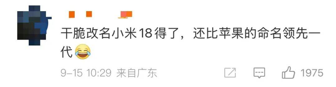 雷军：全面对标iPhone<strong></p>
<p>新疆股票</strong>，正面迎战！小米宣布跳过16系列，直接发布17