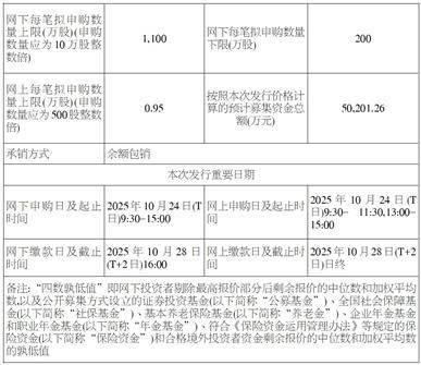 大明电子股份有限公司 首次公开发行股票并在主板上市发行公告