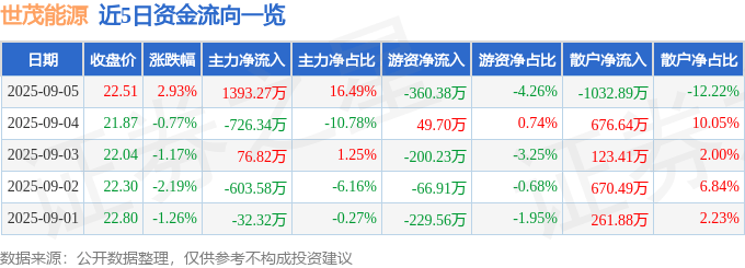 股票行情快报：世茂能源（605028）9月5日主力资金净买入1393.27万元